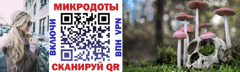 Псилоцибиновые грибы Psilocybine cubensis Грязовец