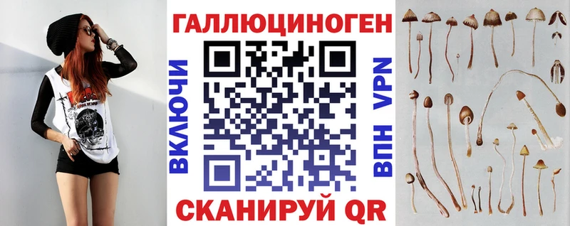 Псилоцибиновые грибы MAGIC MUSHROOMS  ссылка на мегу как войти  Грязовец 
