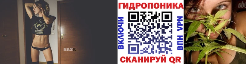 Шишки марихуана индика Грязовец